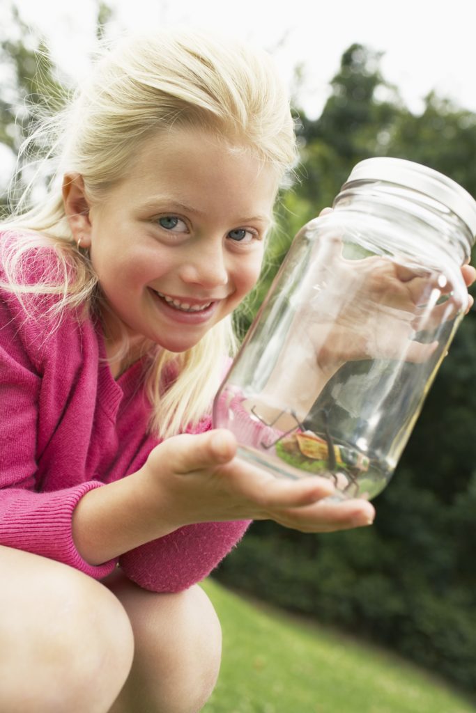 A fun outdoor nature activity for kids to do in the spring is go on a bug hunt.