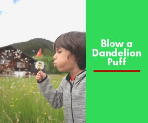 Blow a dandelion puff and make a wish